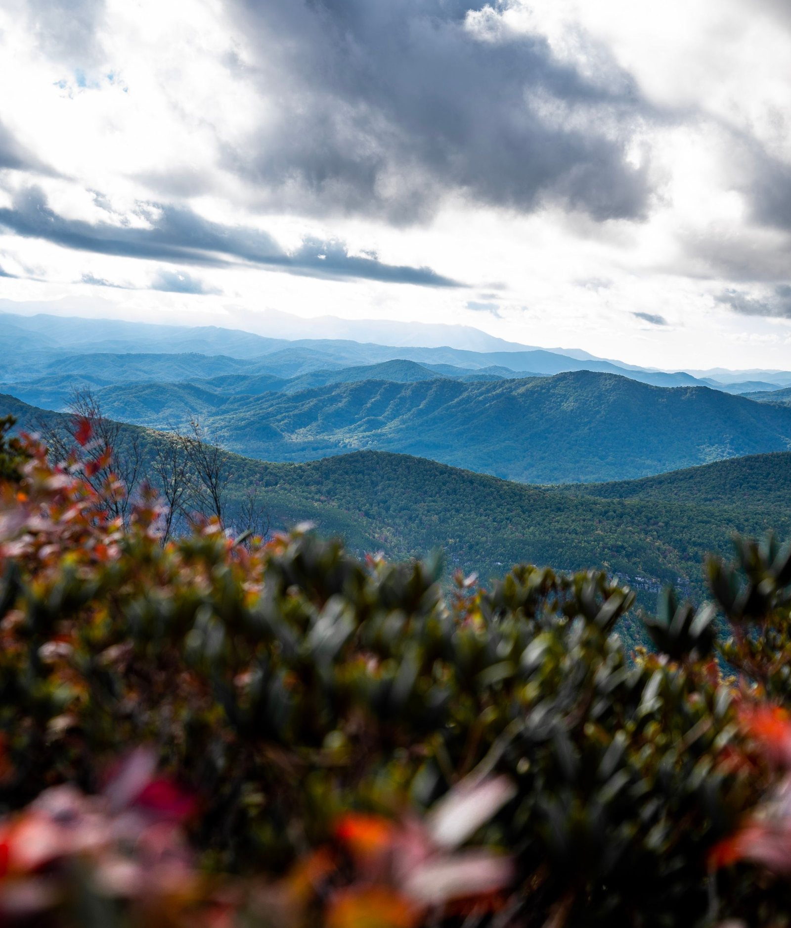 Blue Ridge Mountains under moody clouds in North Carolina, with fall color in the foreground