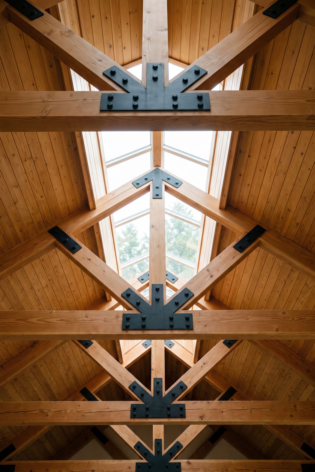 Looking up at timber roof trusses with blackened steel plates beneath a skylight