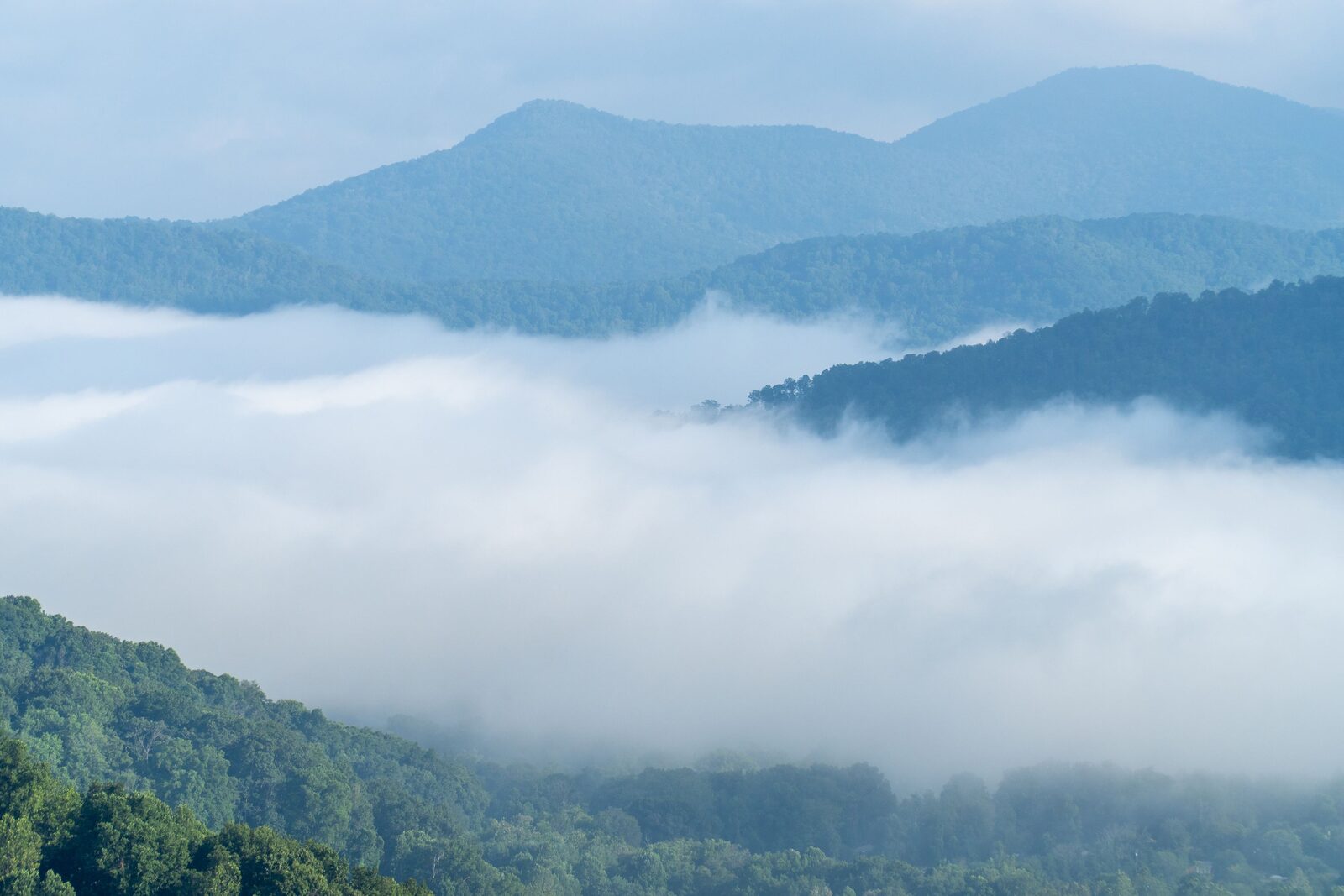 Fog settling into a green Blue Ridge valley